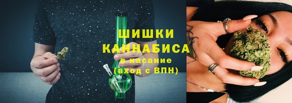spice Пестово