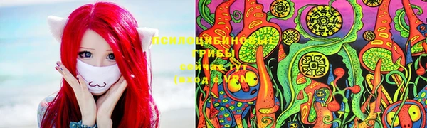 spice Пестово