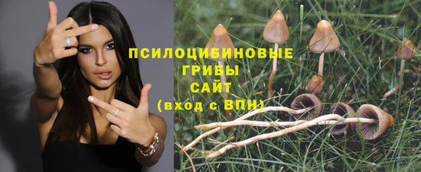 соль ск Пересвет