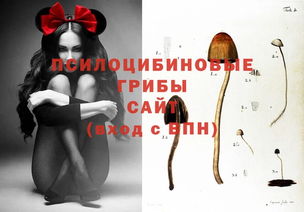 соль ск Пересвет