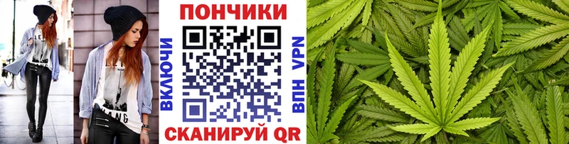 Канабис ГИДРОПОН магазин Данилов
